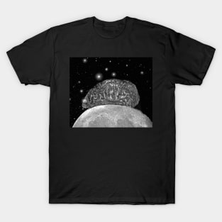 Cat on the moon T-Shirt